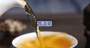 夏天采集茶叶能喝吗-夏天采集茶叶能喝吗有吗