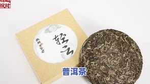 最新黑森林普洱茶价格表与查询，一应俱全！