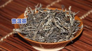 滇红万象普洱茶生茶价格：全系列茶叶产品报价一览