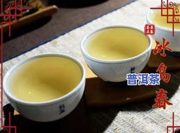 深入解析：冰岛普洱茶汤色、特点与香气