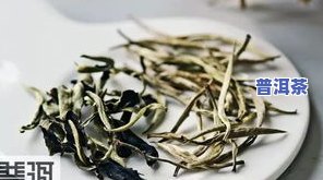 晒青绿茶：普洱茶的一种吗？原因解析与代表性茶品介绍