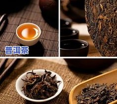 普洱茶四大名号及其含义、特点、颜色全面解析