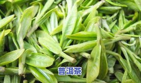 贵州茶叶有哪些特产名称？了解贵州的特色茶叶和图片