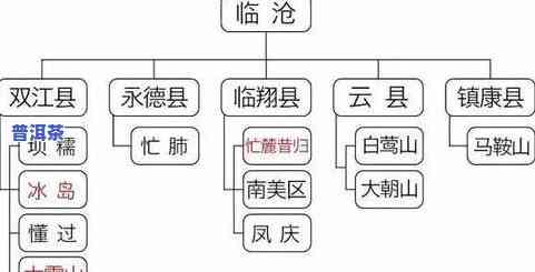 冰岛普洱茶得名起因及其所属茶档，详解其名称由来与特点