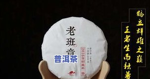 何为冰岛普洱茶？详解其含义、特点与口感