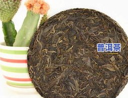 普洱茶饼的重量：为何是357克？