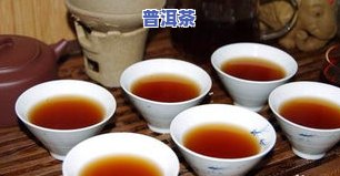 普洱茶山头茶怎么样泡-普洱茶山头茶怎么样泡好喝