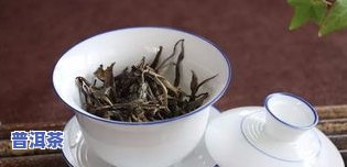 普洱茶山头茶怎么样泡-普洱茶山头茶怎么样泡好喝