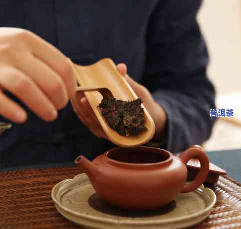 普洱茶山头茶怎么样泡-普洱茶山头茶怎么样泡好喝