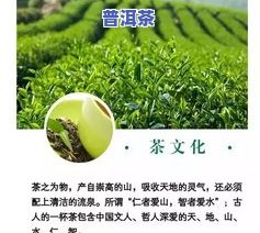 茶叶一般用什么农？了解更佳选择及其作用