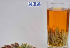 茶叶非物质文化遗产-茶叶非物质文化遗产传承人