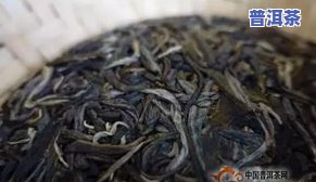 普洱茶熟茶转化成生茶方法与过程全解析