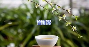 普洱茶特长-普洱茶特色与优势