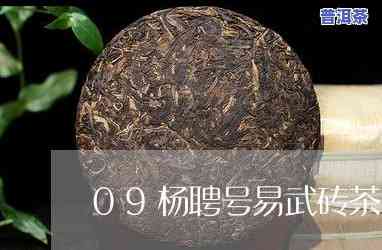 09年的普洱茶价格表-09年的普洱茶价格表及图片