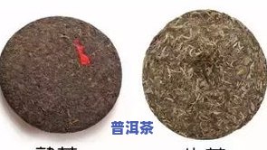 普洱茶：年限越久越好？探讨其品质与口感的关系