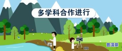 喝茶叶水能解性吗？探讨其科学依据与适用人群