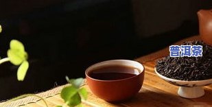 普洱茶多少年更好喝？专家解析茶叶陈化期与口感的关系