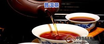 生的普洱茶暖胃养胃吗？正确泡饮方法与功效解析