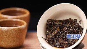 特级普洱茶价格：从90年代到现在，你了解它的价值吗？