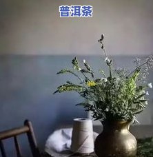 茶叶倒在花盆里好吗-茶叶倒在花盆里好吗怎么放