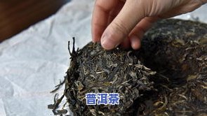 泡普洱茶的笋壳有点霉了-泡普洱茶的笋壳有点霉了还能喝吗