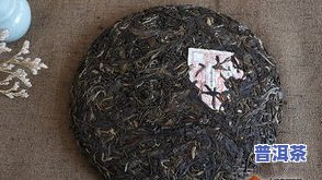 云南千年古树茶-云南千年古树茶多少钱一斤