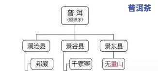 普洱茶标杆茶：定义、种类与含义全解析