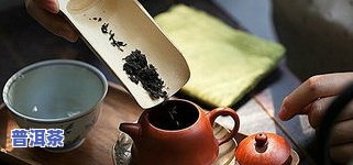 茶艺师沏普洱茶的视频大全-茶艺师沏普洱茶的视频大