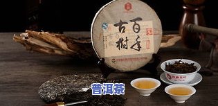 云南凤牌普洱茶：产地、价格全揭秘