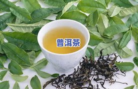 普洱茶储存干燥-普洱茶储存干燥方法