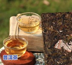 大自然普洱茶价格多少钱一克？公司介绍与产品评价