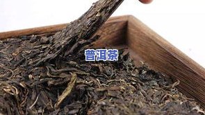 普洱茶母乳期饮用安全性：专家意见与实证研究