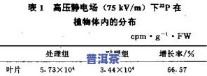 普洱茶可溶解性高？为什么？探讨其溶解性和饮用安全性