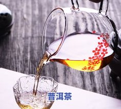 普洱茶需要用煮茶器吗？用户分享经验和观点