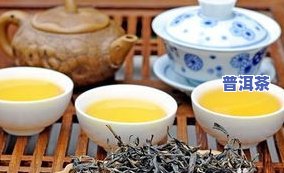 哪里买普洱茶好-哪里买普洱茶好一点