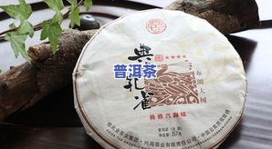 230元普洱茶-普洱茶多少元