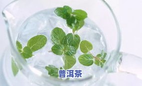 普洱茶到底好不好？口感、功效全解析！