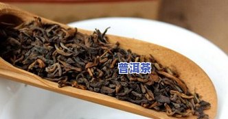 普洱茶烘培-普洱茶烘培温度