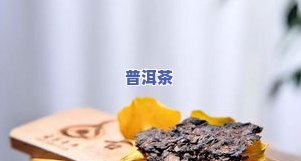 陈皮普洱茶饼价格查询及使用指南