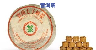 团山普洱茶价格-团山普洱茶价格表