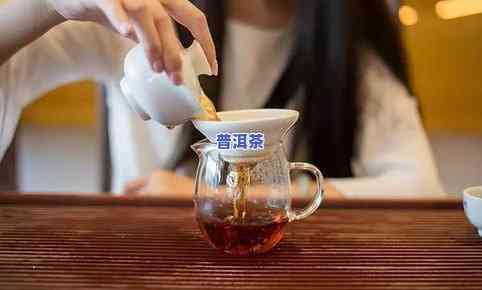 101普洱茶：探索普洱茶101的历史、制作过程与故事