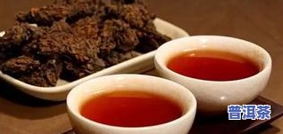 天福茗茶普洱熟茶价格一览：包含价格表、图片及500克价格，全面熟悉天福茗茶普洱熟茶的价格信息。