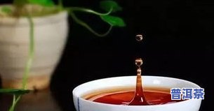 三棵树普洱茶介绍资料图片高清：从生茶品质到详细介绍一网打尽