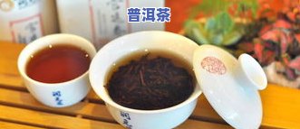 普洱茶啥牌子好？寻找口感佳、品质优的好茶！