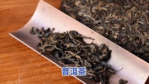 普洱茶啥牌子好-普洱茶啥牌子好一点