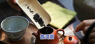 长期饮用哪种普洱茶更佳？探讨适合长时间品饮的普洱茶种类