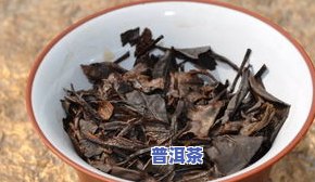 寿眉普洱茶价格是多少？一斤的价格是多少？与其他品种有何不同？