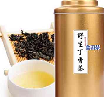 丁香茶和普洱茶哪个更养胃？两者功效比较及能否同时饮用解析