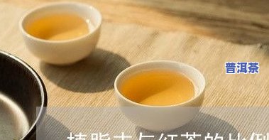 小孩子喝茶叶水好吗？视频详解其益处与注意事项