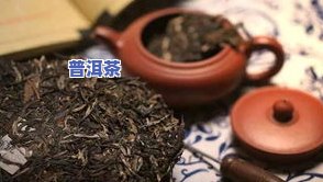 普洱茶搭配大全：最完美的口感探索